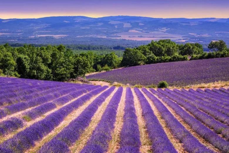 La Petite Maison Céreste Εξωτερικό φωτογραφία
