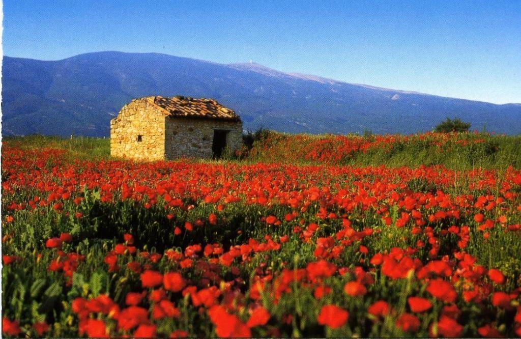 La Petite Maison Céreste Εξωτερικό φωτογραφία