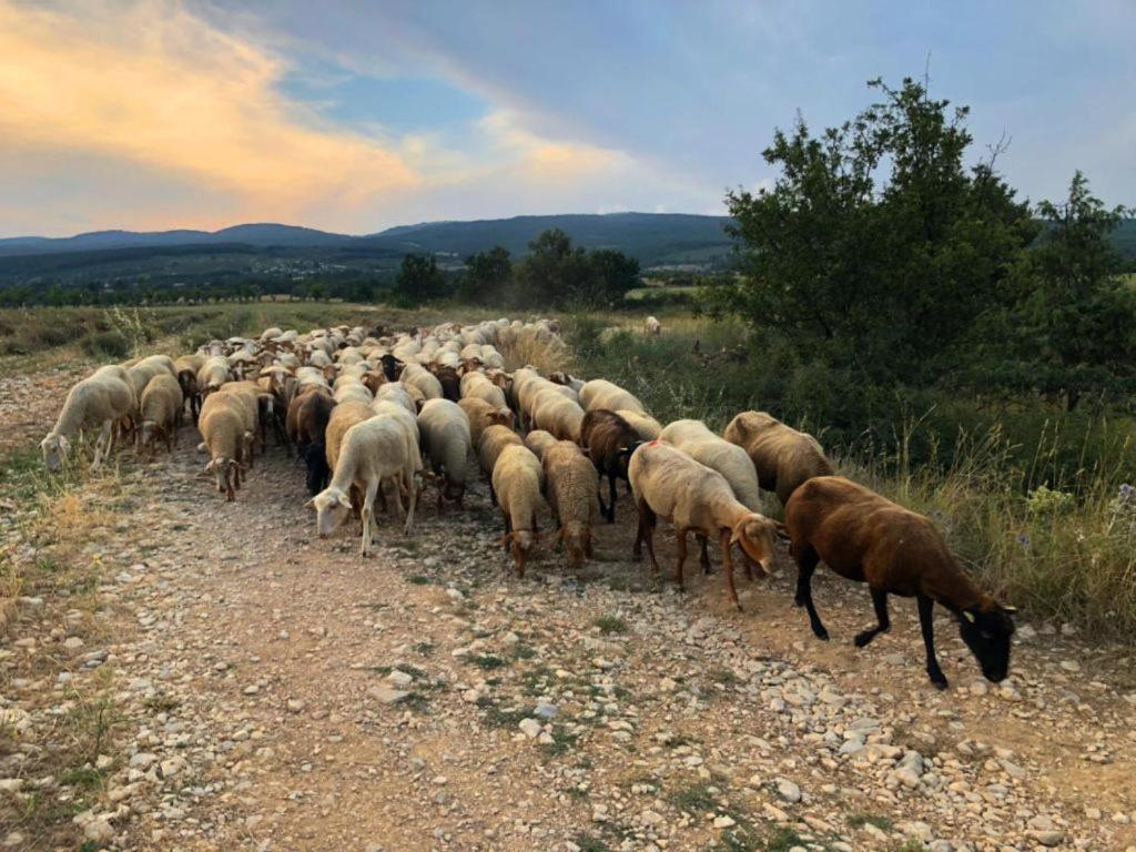 La Petite Maison Céreste Εξωτερικό φωτογραφία